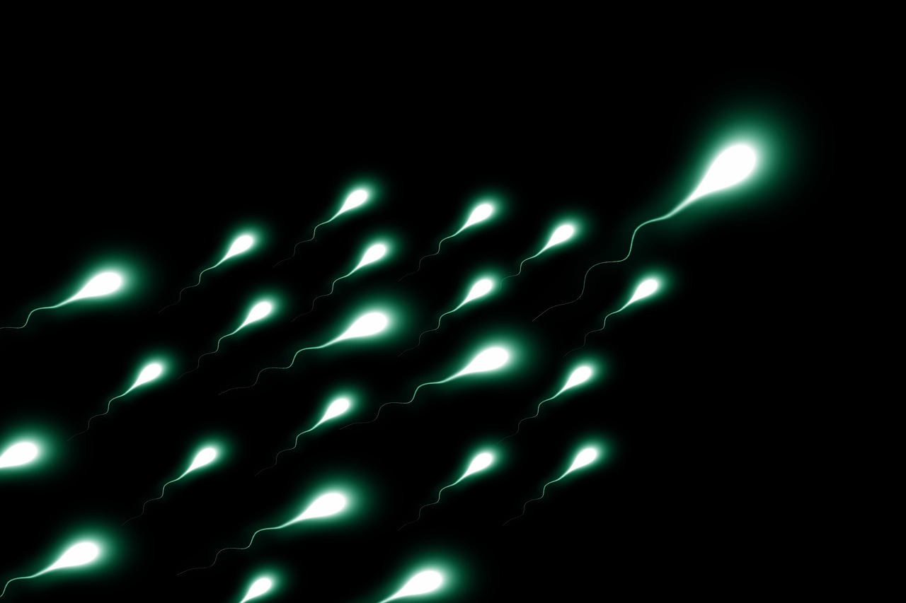 At-Home Sperm Kit image